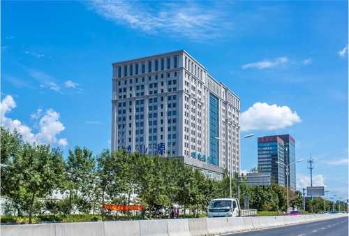 东丽区seo网站推广