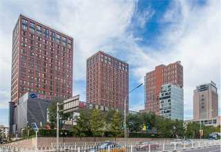 常州链板输送机供应商