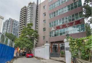 扬州新鲜盆栽菜基地供应